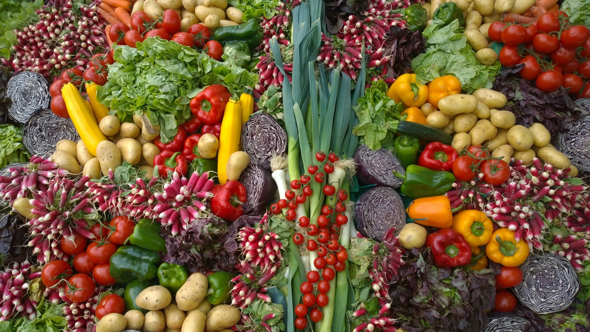 Image of A guide to starting your own garden
